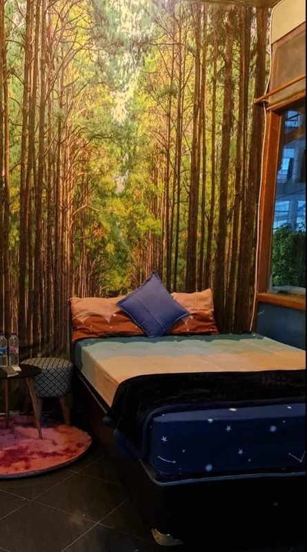 Homestay Siap Operasi 5 Kamar Di Area Kota Jogja Hanya 5 Menit Ke Tugu, Bumijo, Jetis, Yogyakarta