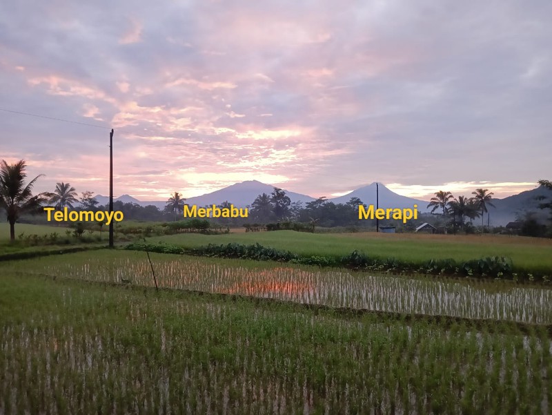 Rumah 842 Meter Persegi Dengan View 5 Gunung Di Kaliangkrik, Magelang