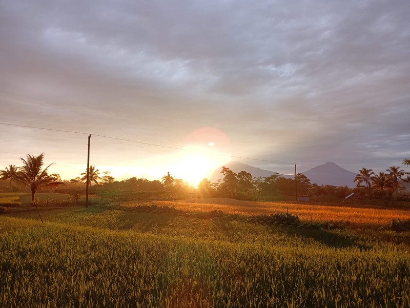 Rumah 842 Meter Persegi Dengan View 5 Gunung Di Kaliangkrik, Magelang