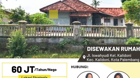 Rumah sewa murah
