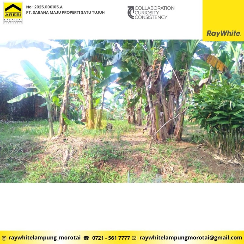 rumah LT 1690 m2 tanjung karang bandar lampung