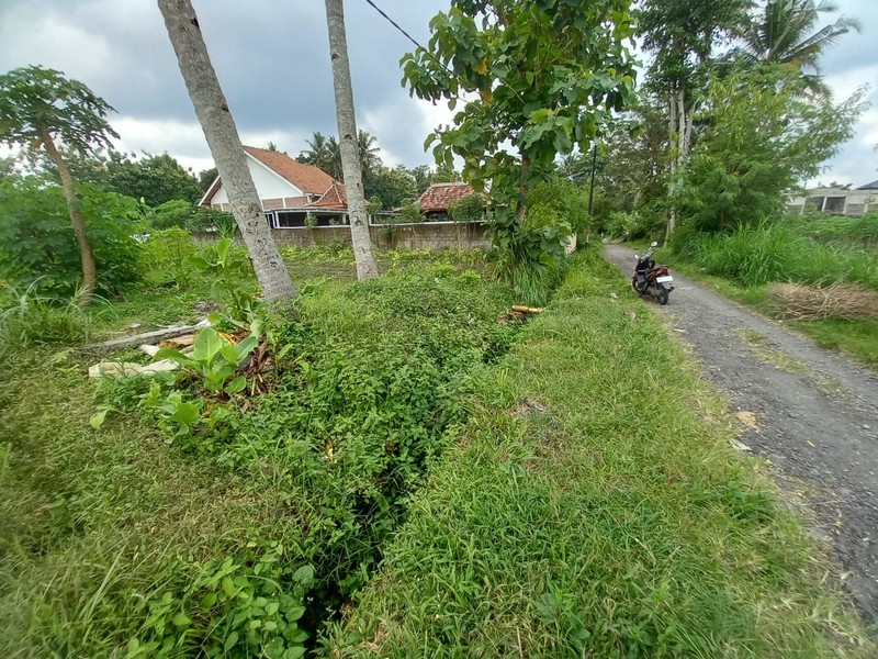 Tanah Sawah Luas 464 Meter Persegi Lokasi Strategis Dekat Exit Tol Tempel - Sleman 