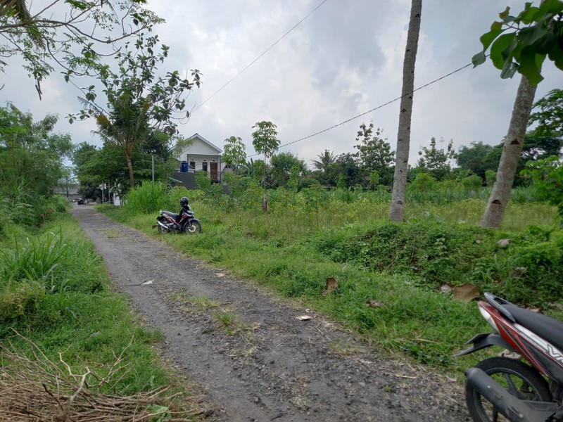 Tanah Sawah Luas 464 Meter Persegi Lokasi Strategis Dekat Exit Tol Tempel - Sleman 