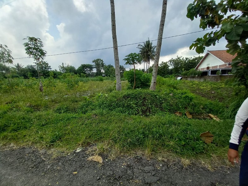 Tanah Sawah Luas 464 Meter Persegi Lokasi Strategis Dekat Exit Tol Tempel - Sleman 