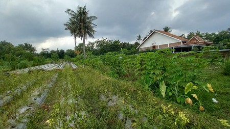 Tanah Sawah Luas 464 Meter Persegi Lokasi Strategis Dekat Exit Tol Tempel - Sleman 