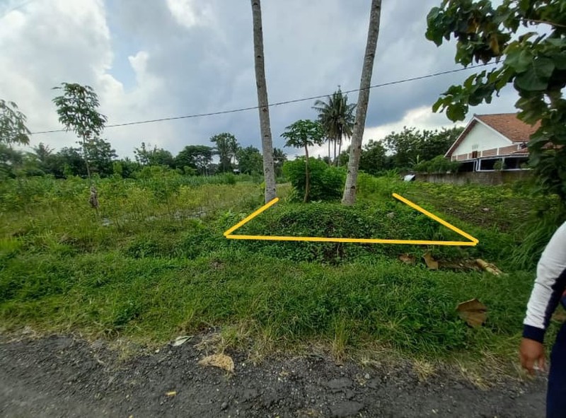 Tanah Sawah Luas 464 Meter Persegi Lokasi Strategis Dekat Exit Tol Tempel - Sleman 