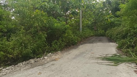 Land Freehold Tourism Zone In Uluwatu Bali