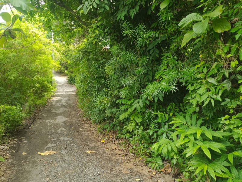 Land Freehold Tourism Zone In Uluwatu Bali
