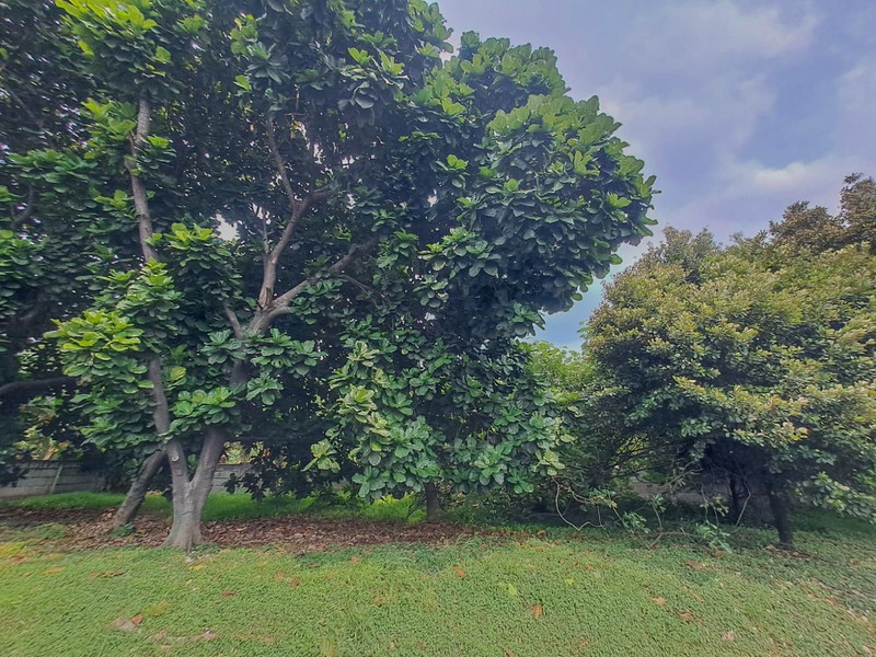 Tanah di Cikunir Jatiasih Bekasi, akses ke Galaxy, Harapan Indah