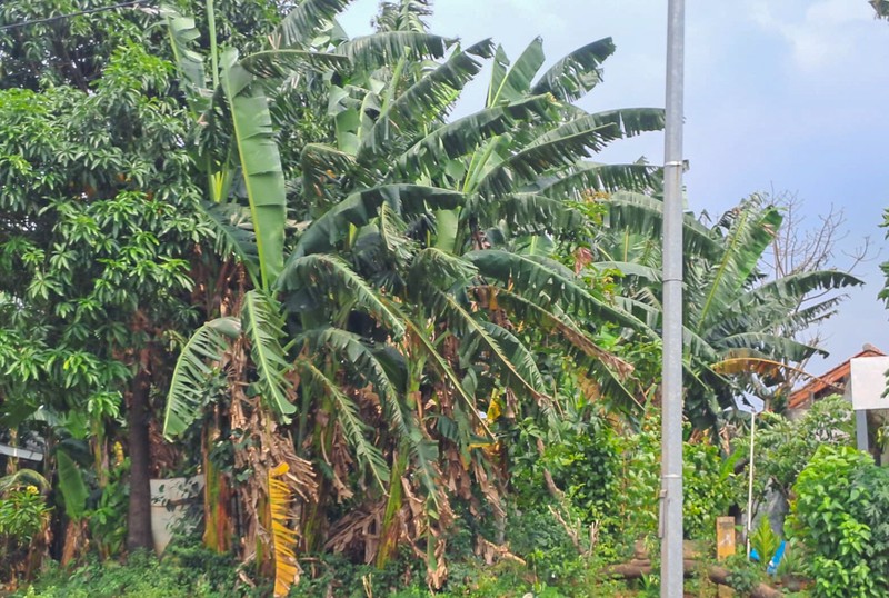 Tanah di Cikunir Jatiasih Bekasi, akses ke Galaxy, Harapan Indah
