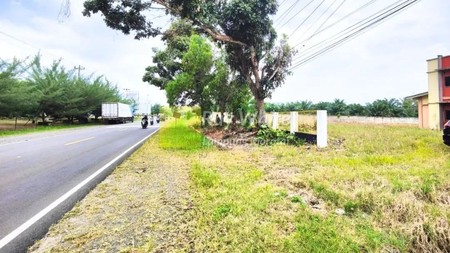 Dijual Tanah di Kalianda, Lampung Selatan