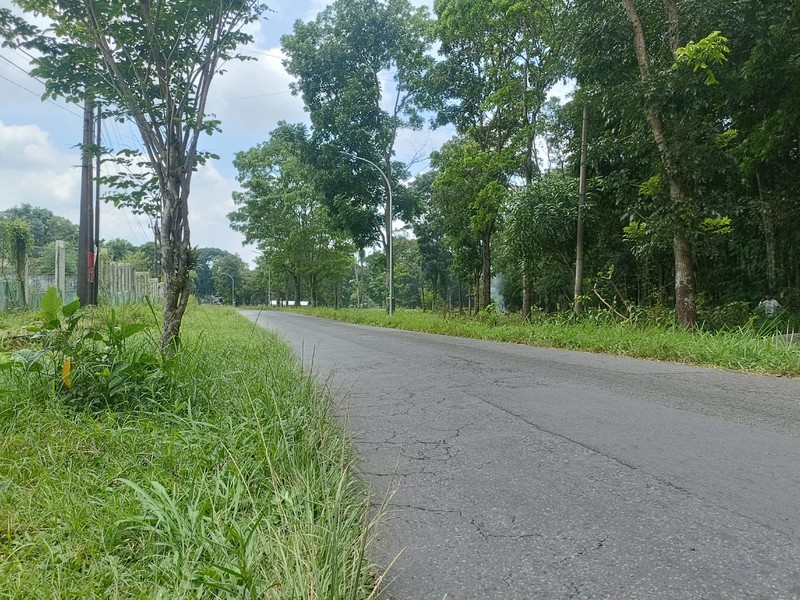 Tanah Luas 1033 Meter Diarea Wisata Kaliurang Pakem Sleman