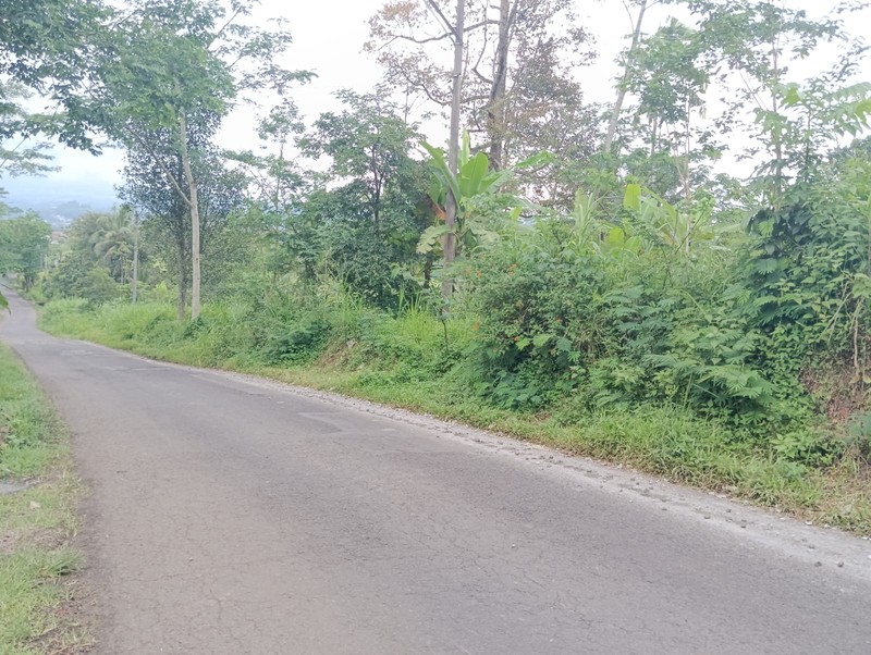 Investasi Tanah Pekarangan Zona Komersil 6.260 Meter Persegi di Kranggan, Temanggung - Cocok untuk Gudang/Home Industry