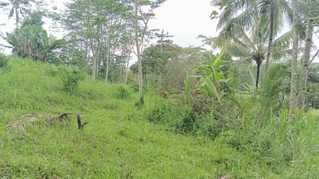 Investasi Tanah Pekarangan Zona Komersil 6.260 Meter Persegi di Kranggan, Temanggung - Cocok untuk Gudang/Home Industry