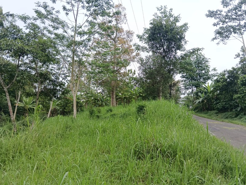 Investasi Tanah Pekarangan Zona Komersil 6.260 Meter Persegi di Kranggan, Temanggung - Cocok untuk Gudang/Home Industry