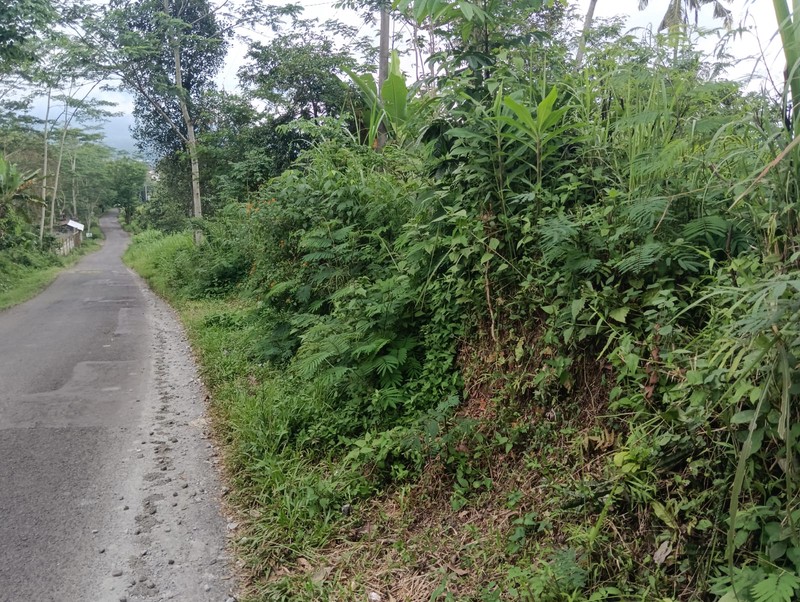 Investasi Tanah Pekarangan Zona Komersil 6.260 Meter Persegi di Kranggan, Temanggung - Cocok untuk Gudang/Home Industry