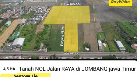 Dijual 4,5 Hektar Tanah Nol Jalan Raya Mojoagung - Jombang - Jawa Timur - Hadap Nol Jalan Raya Komersial Area Lokasi Dekat Bank BRI, Kantor Balai Benih Pertanian, Cocok Buat Segala Usaha - Surat SHM
