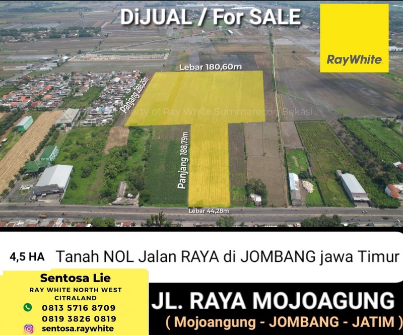 Dijual 4,5 Hektar Tanah Nol Jalan Raya Mojoagung - Jombang - Jawa Timur - Hadap Nol Jalan Raya Komersial Area Lokasi Dekat Bank BRI, Kantor Balai Benih Pertanian, Cocok Buat Segala Usaha - Surat SHM