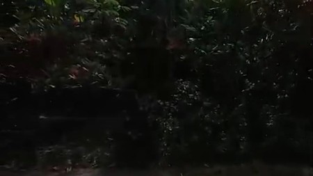 Dijual 378 m2 Tanah Kavling Perumahan Gayung Kebonsari Elveka - Gayungan - Kebonsari Surabaya Selatan - Surat SHM