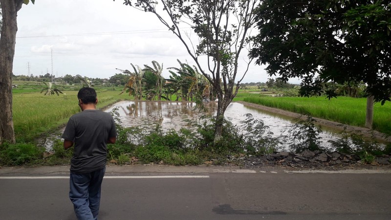 Tanah Luas 2625 Meter Persegi Lokasi Strategis di Kebon Arum Klaten 