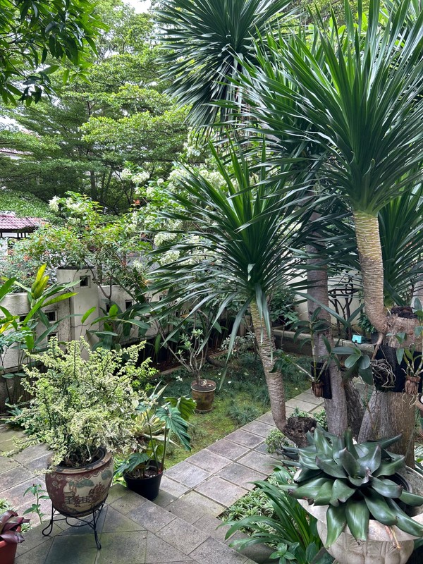 Kavling Siap Bangun Di Jl Telaga Warna Cinere Tangerang Selatan