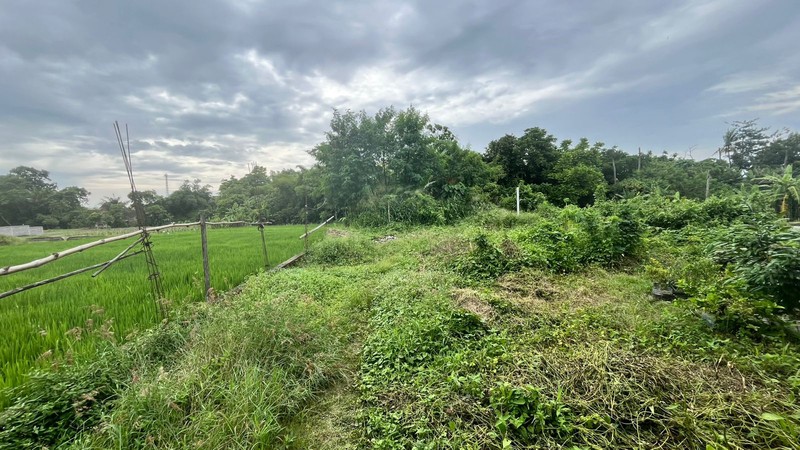 Investasi Terbaik Tanah Siap Bangun 1000 Meter Persegi di Lingkungan Asri Sleman, Dekat Jalan Magelang, Sinduadi, Mlati, Sleman