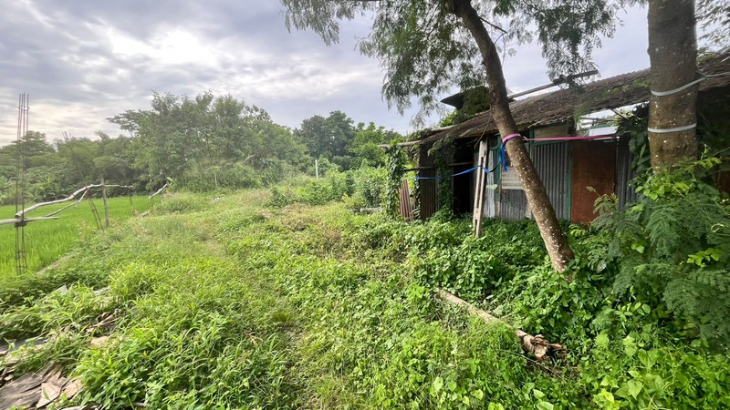 Investasi Terbaik Tanah Siap Bangun 1000 Meter Persegi di Lingkungan Asri Sleman, Dekat Jalan Magelang, Sinduadi, Mlati, Sleman