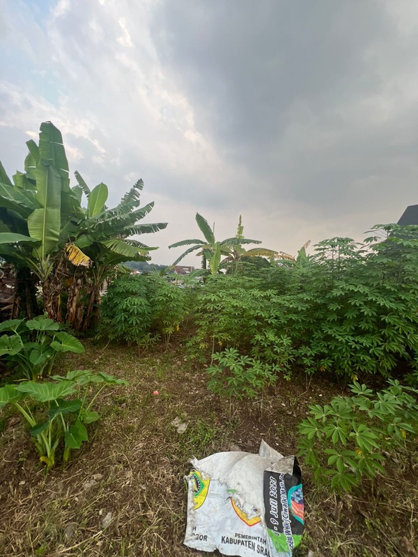 Kavling Tanah Daerah Ciumbuleuit Hegarsari Raya