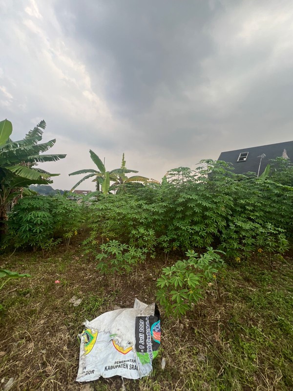 Kavling Tanah Daerah Ciumbuleuit Hegarsari Raya