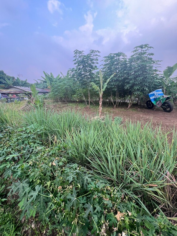 Kavling Tanah Daerah Ciumbuleuit Hegarsari Raya