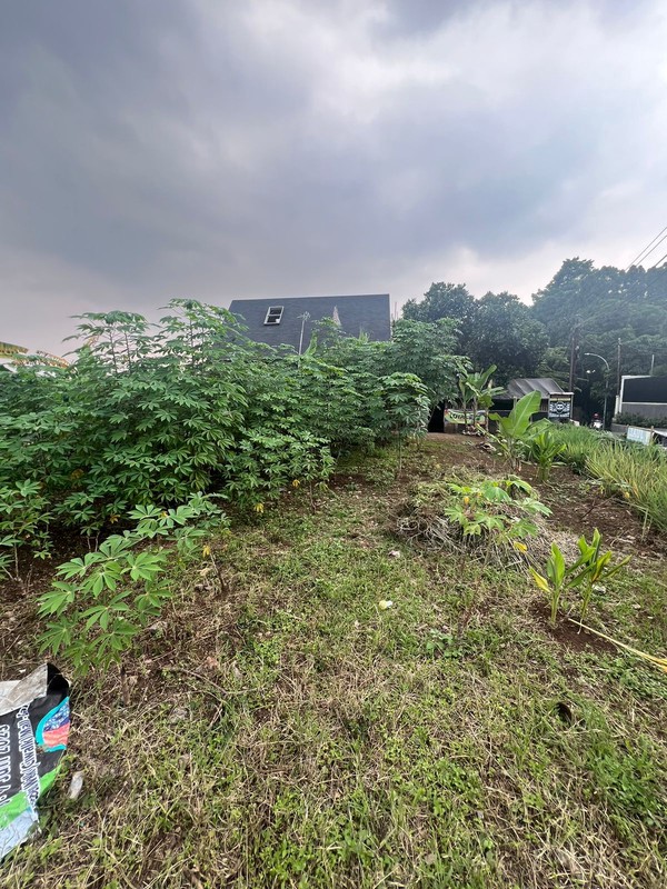 Kavling Tanah Daerah Ciumbuleuit Hegarsari Raya