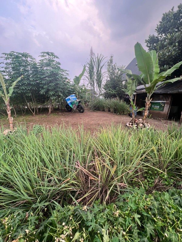 Kavling Tanah Daerah Ciumbuleuit Hegarsari Raya