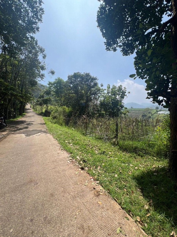 Tanah Kavling di Kordon Daerah Ciburial, Cimenyan Bandung