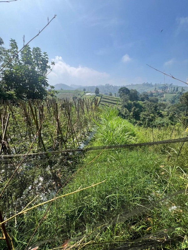 Tanah Kavling di Kordon Daerah Ciburial, Cimenyan Bandung