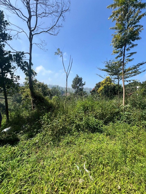 Tanah Kavling di Kordon Daerah Ciburial, Cimenyan Bandung