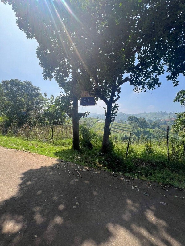 Tanah Kavling di Kordon Daerah Ciburial, Cimenyan Bandung