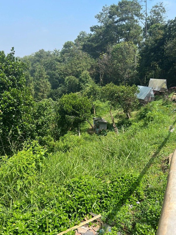 Tanah Kavling Cikuntung Daerah Bukit Pakar Timur Dago