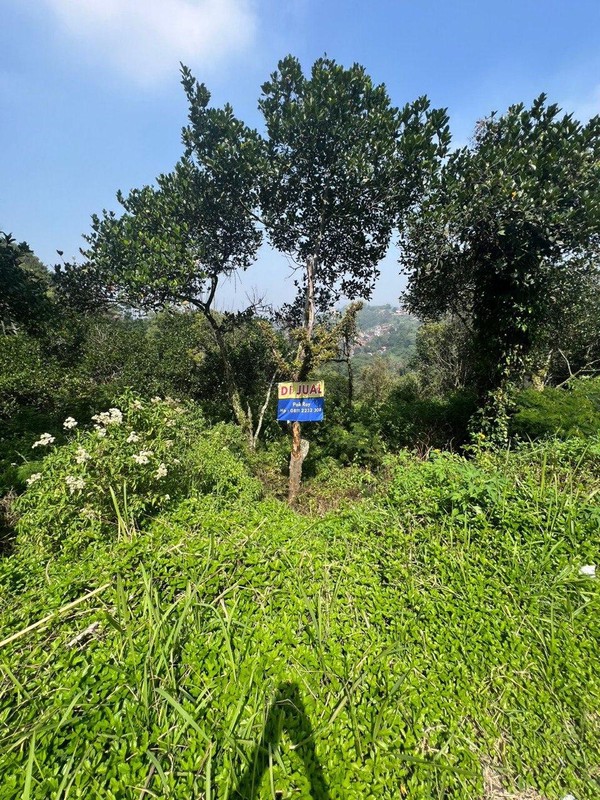 Tanah Kavling Cikuntung Daerah Bukit Pakar Timur Dago