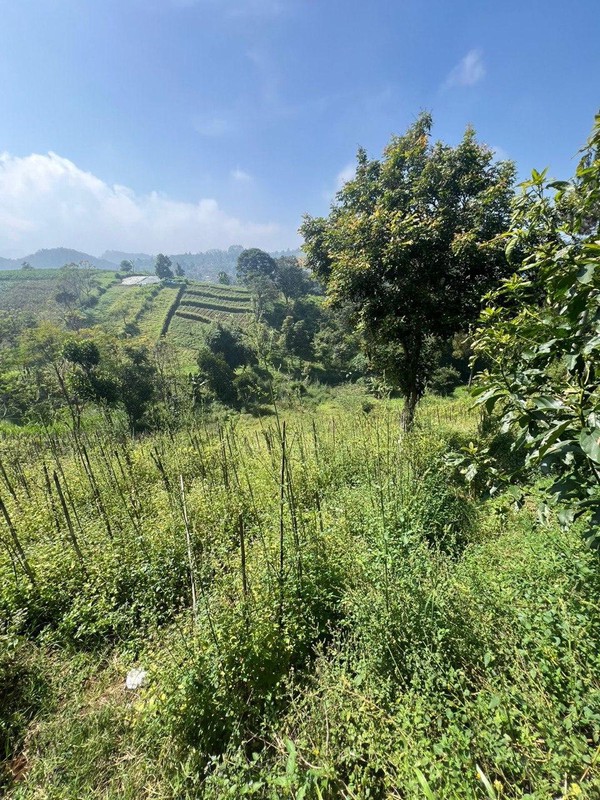 Tanah Kavling Cikuntung Daerah Bukit Pakar Timur Dago