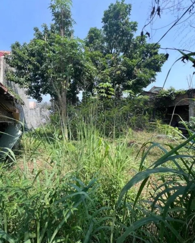 Tanah Kavling Terusan Megasari