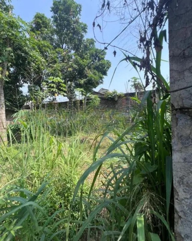 Tanah Kavling Terusan Megasari