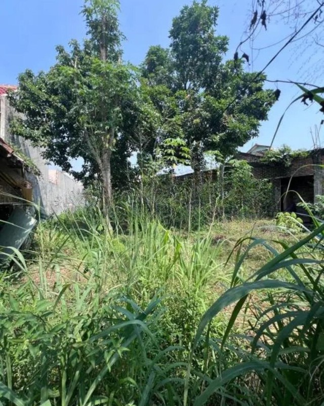 Tanah Kavling Terusan Megasari