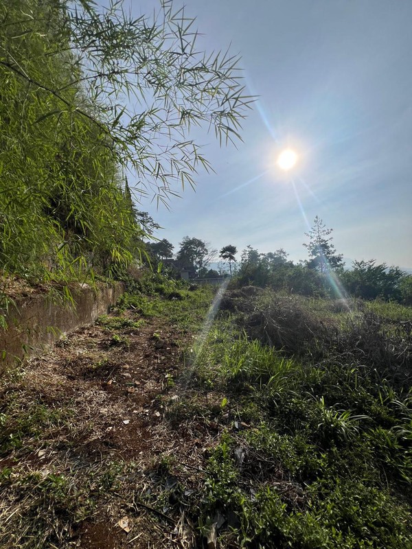 Tanah Kavling Bukit Pakar Timur