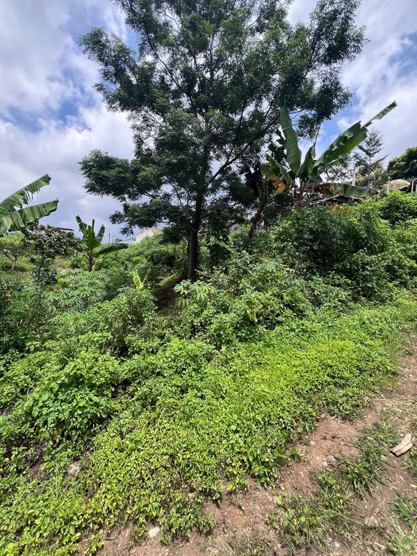 Tanah Kavling Edelweis Residence Cimahi