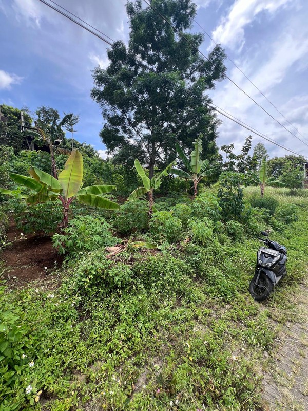 Tanah Kavling Edelweis Residence Cimahi