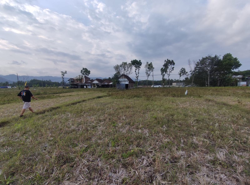  Tanah Komersial 1075 Meter Persegi di Tepi Jalan Raya Kenteng , Potensial Bisnis, Nanggulan, Kulonprogo