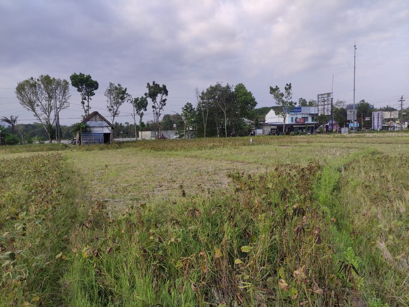  Tanah Komersial 1075 Meter Persegi di Tepi Jalan Raya Kenteng , Potensial Bisnis, Nanggulan, Kulonprogo