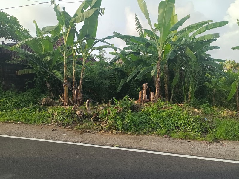 Land Leasehold in Heart Seminyak Bali