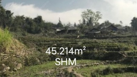 DIJUAL TANAH LUAS 45.214m2 - CIMANDE, CARINGIN, BOGOR