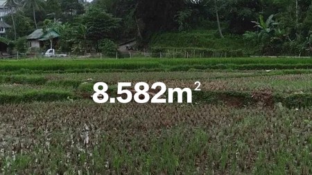 DIJUAL TANAH LUAS 8.582m2 - CIMANDE, CARINGIN, BOGOR